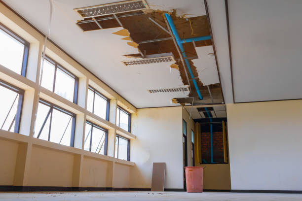 Best Sewage cleanup and water damage restoration  in Cary, NC