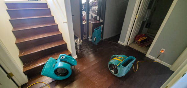Reliable Cary, NC Water damage restoration Solutions