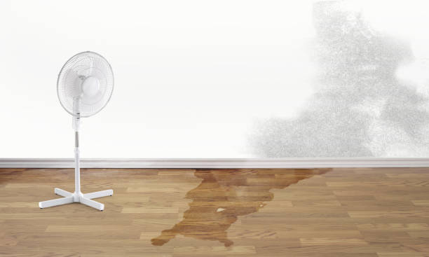 Best 24/7 water damage repair  in Cary, NC