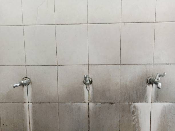 Best Water damage cleanup near me  in Cary, NC