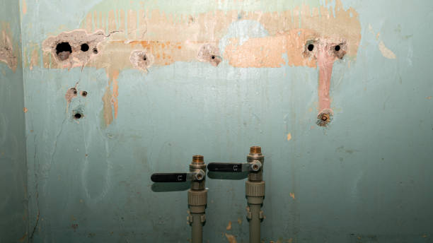Best Ceiling water damage repair  in Cary, NC