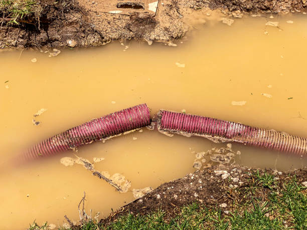  Cary, NC Water damage restoration Pros