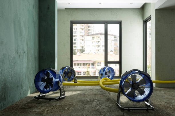Best 24/7 water damage repair  in Cary, NC