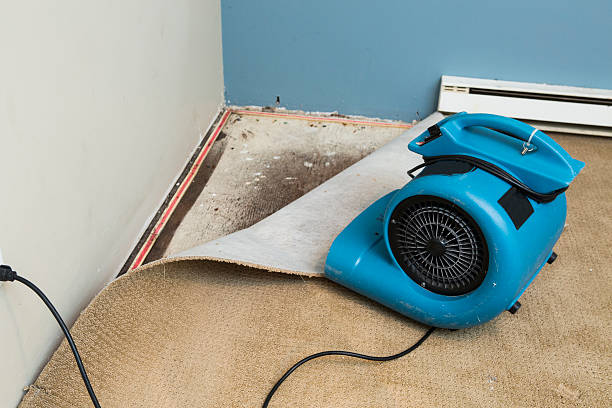 Best Basement water damage restoration  in Cary, NC